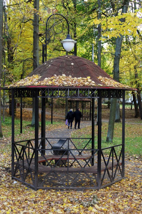 Краски осени 2021