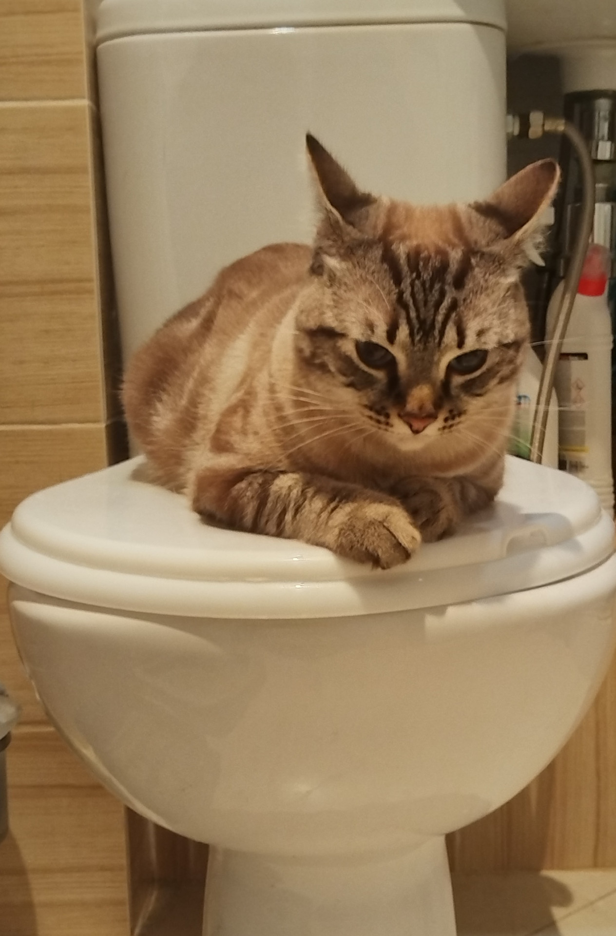 >