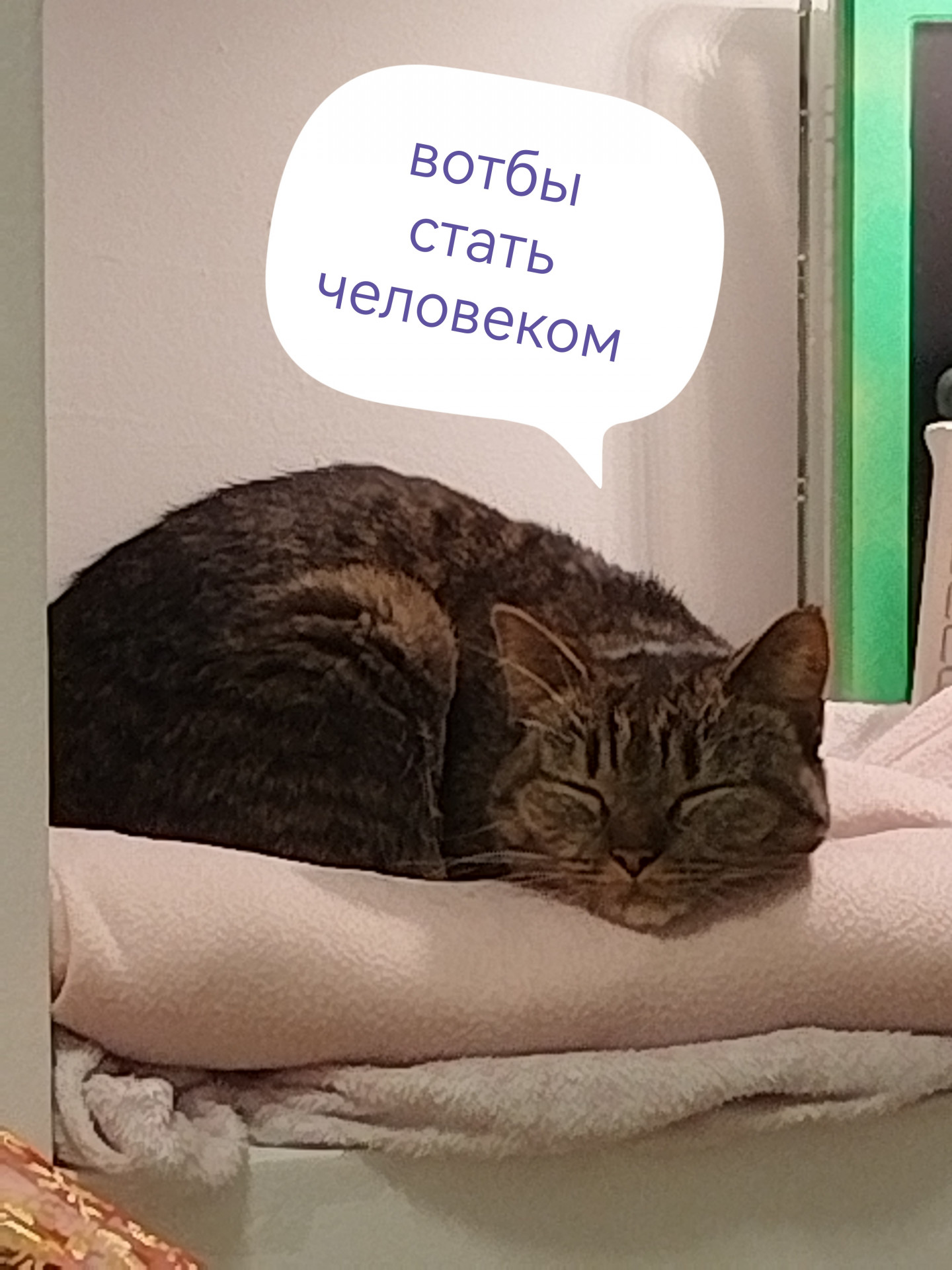 ?