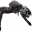Кирилл